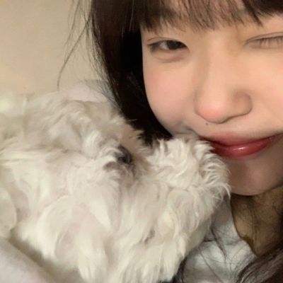 云游修真界游戏下载